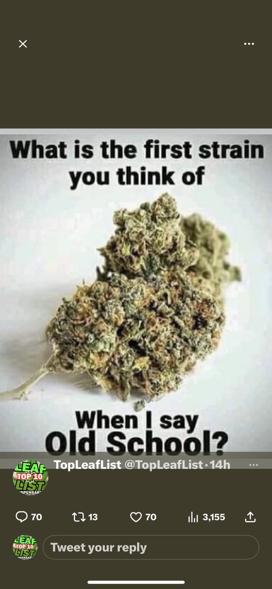 BudVizion tweet media