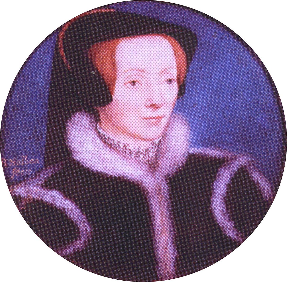 A Forgotten Elizabethan Noblewoman: Katherine Bertie, Dowager Duchess of Suffolk and Baroness Willoughby de Eresby dlvr.it/SlDDBV