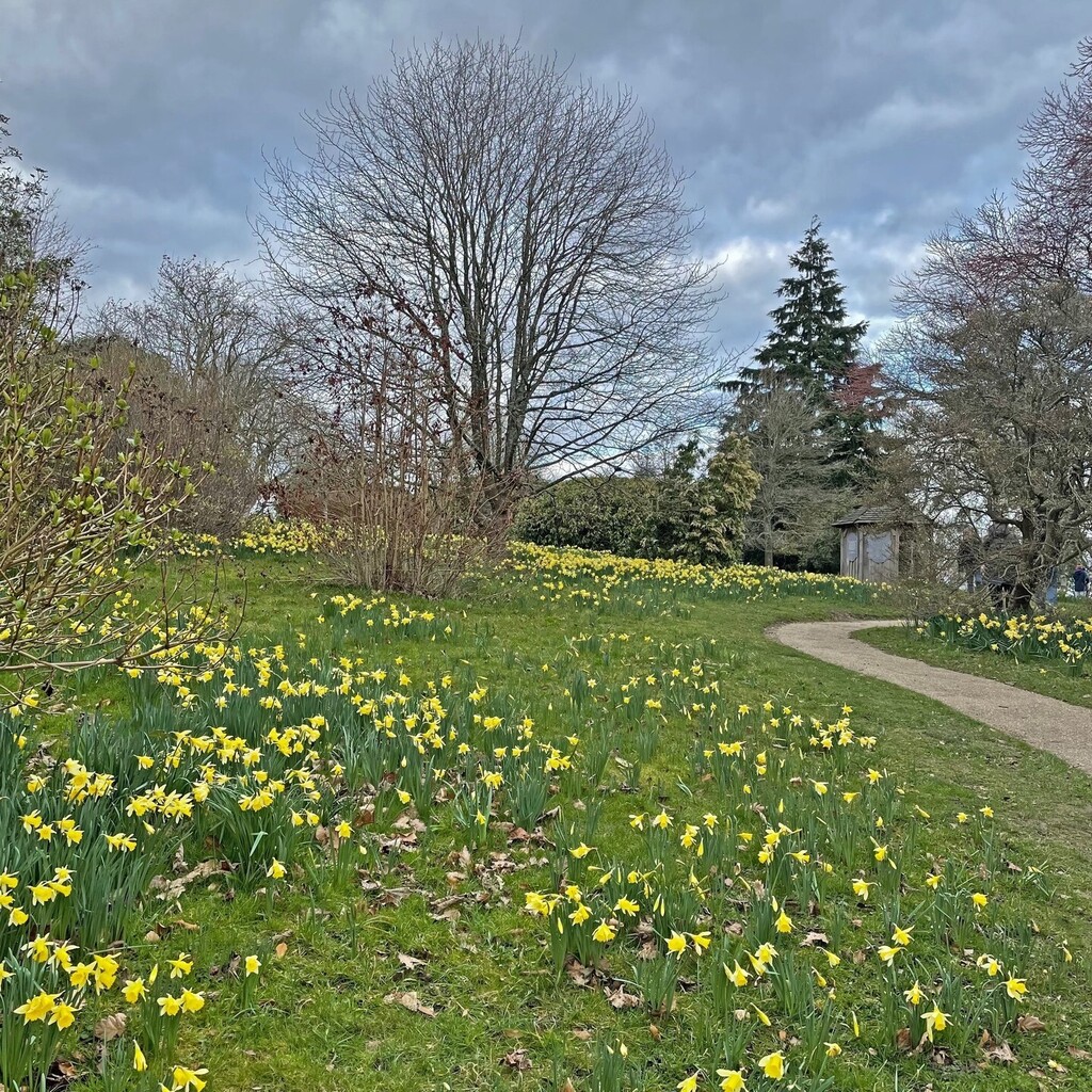 minnowmep's tweet photo. Spring. My favourite season. Warmer, lighter days are on the way and the natural world is waking up from it’s winter slumber. Bring it on. #outdoorsandhappy #landscape_lovers #UKexplore #rural_love #landscapephotography #landscapelovers #landscape_captur… https://t.co/zo4cbtZ9M8 https://t.co/DgneGaoKRv