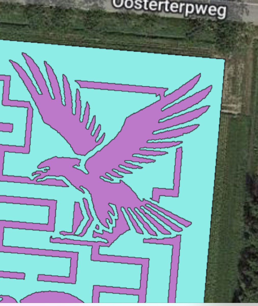 Sneak peak: maisdoolhof 2023 bij <a href="/MarbeldeGraaf/">Marbel de Graaf</a> ism <a href="/RavenEurope/">Raven Europe</a> en    Loonbedrijf Houtenbos. Word weer mooi!