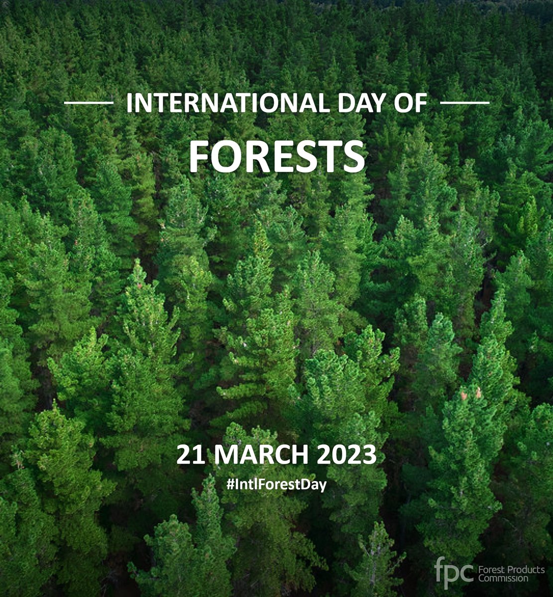 Forest Products Commission tweet media