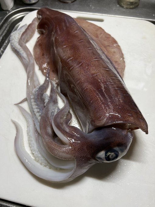 化け物

イカ墨が重要で他はおまけみたいな感じ 