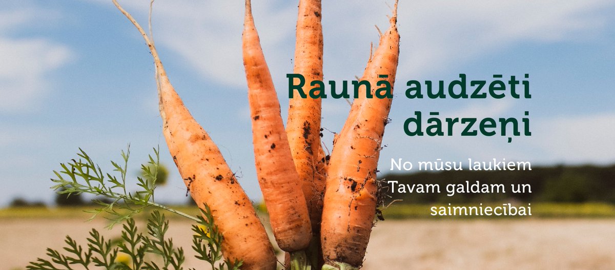 karotitelv's tweet photo. ‼ Karotītēm pievienojusies saimniecība Ruuts, kas atrodas gleznainā vietā netālu no Raunas Staburaga! 😍Apsveicam!👏🥔🥕Pēc integrētās audzēšanas principiem tiek audzēti lauka dārzeņi, katram piemērojot atbilstošas mēslošanas un augu aizsardzības aktivitātes.🇱🇻 #AtbalstiVietējo https://t.co/zyXO0xNcdq