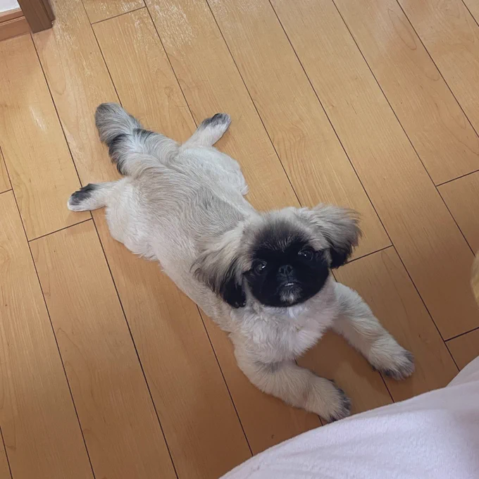 落ちてる 