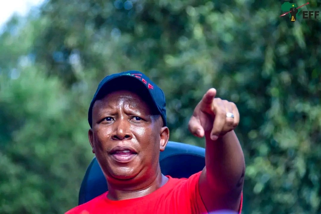 Come 2024 Who is Your President

Retweet for Julius Malema 
Like for Gayton Mckenzie 
Mbaks Thanks to EFF #NationalShutdown Stage 6 Mbuyiseni Nhlanhla Lux Soweto PTA CBD Johannesburg CBD
