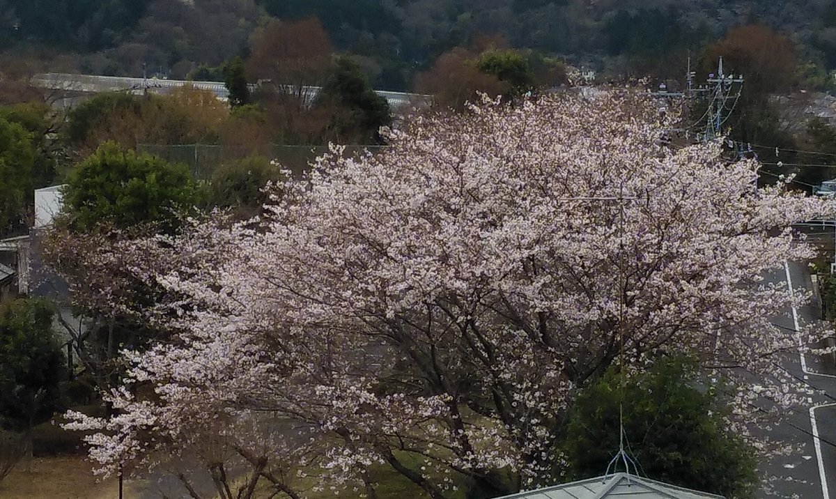 KAZU1976TOMMY's tweet image. 少し早いお花見をしながらちらし寿司とビールで乾杯🍻
今日はラジオが本当に楽しくてお酒の回りが早いです🍺 #3djs #春分の日