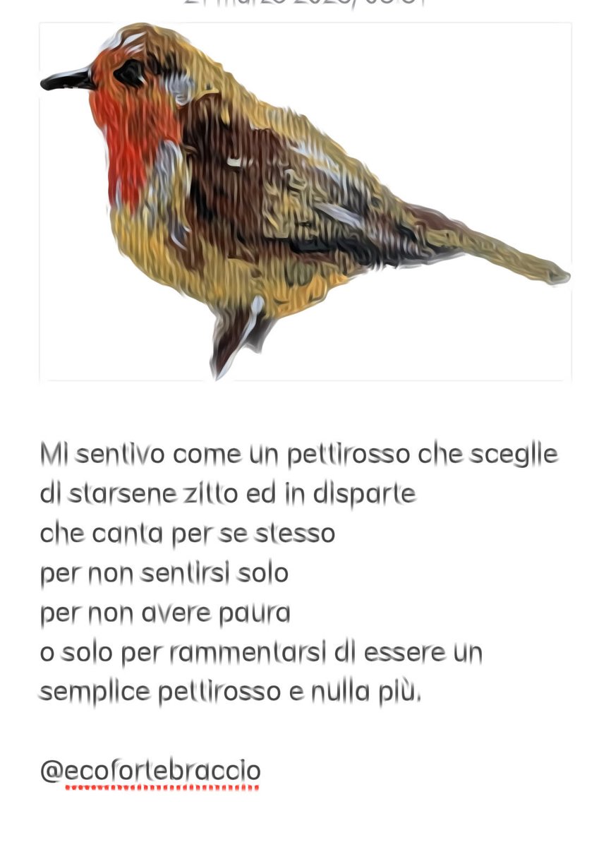 ecofortebraccio's tweet photo. #giornatamondialedellapoesia https://t.co/dFv78p0VJ3