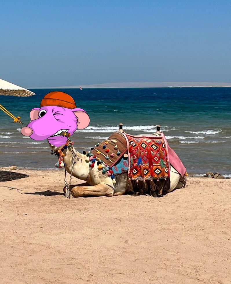 No matter lazy Tuesday!

@fatratmafia all over the feed!

#FatRatMafia #FatRatFam