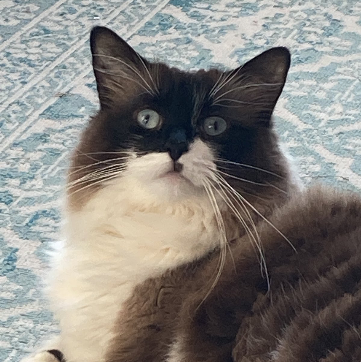 simonmundie's tweet photo. PARENTS – we recommend the ‘feelings game’:
One thing that made you (and them)
- happy
- sad
- excited
- worried
- laugh
Get kids fluent in the language of emotions 🙂😥
Try it out: https://t.co/AyJ8IrgbZ6
#LifeLessons #TLLP
(Mariah loves it too) https://t.co/FBH2WHP3tJ
