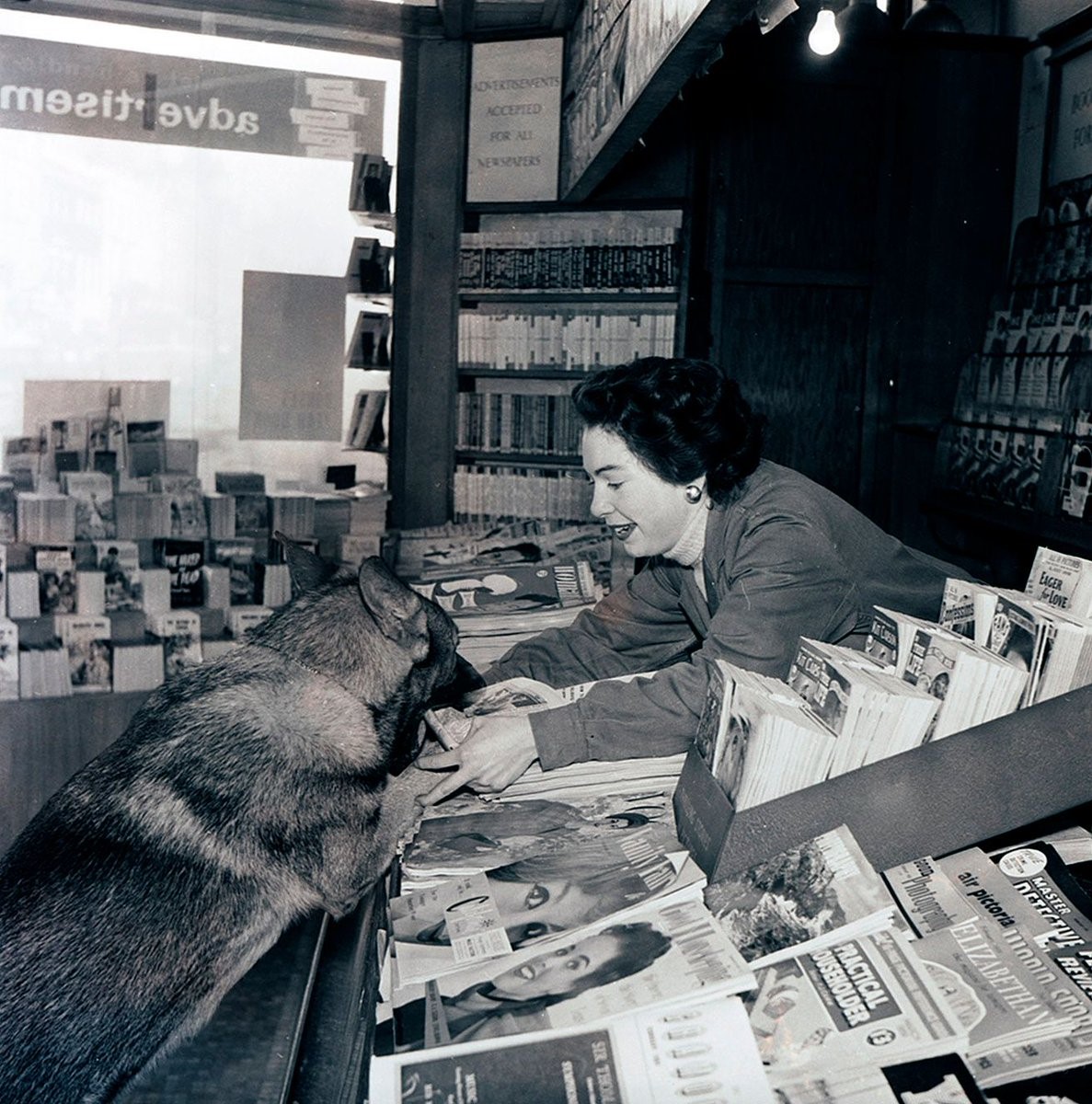 Want to keep up with latest news &amp; events from #Dorset's #archives? Sign up for our newsletter: orlo.uk/8DOTt

#ExploreYourArchive