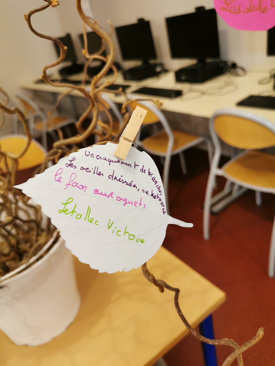 CdiFlers's tweet photo. C'est le #PrintempsDesPoetes ! L'occasion pour les poètes en herbe de s'essayer au #haiku et d'accrocher ses créations sur l'arbre à poème tout au long de la semaine. https://t.co/xiaNwDxEha