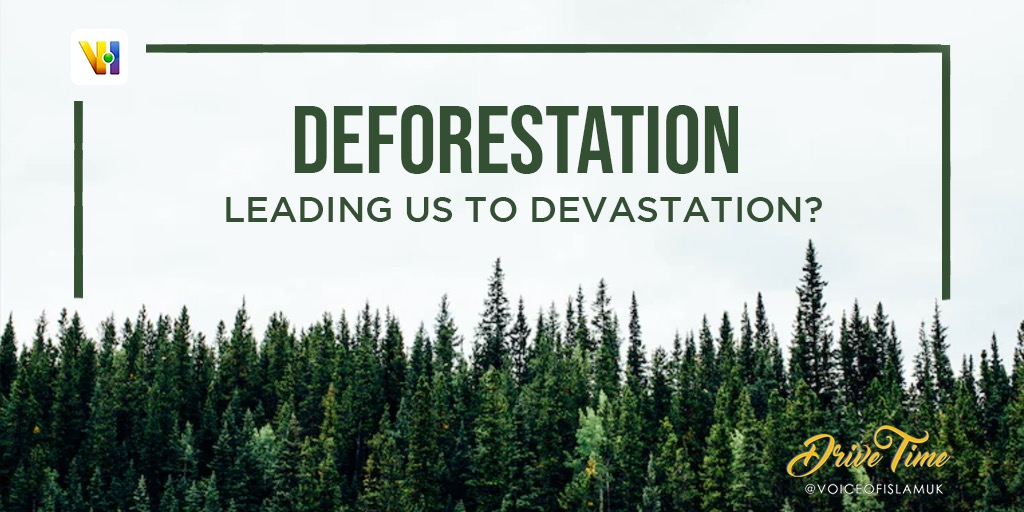 VoiceOfIslamUK's tweet photo. Sadly, 31% of the eastern Amazon has been lost to deforestation and other causes.

Live from 5pm GMT #deforestation 

https://t.co/2Jcm3To7uD https://t.co/ZL8kCyfl3x