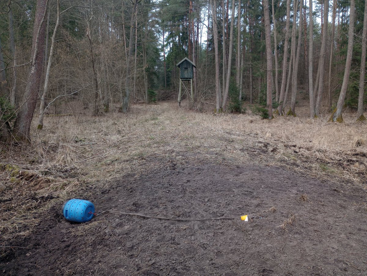 paulinalota's tweet photo. @Nasze_Lasy A tak się bawi na Mazurach warszawskie koło łowieckie Zielony Krąg. Pułapka na dziki - zakotwiczona beczka z kukurydzą, ambona 25m dalej. Barbarzyńcy. https://t.co/2bffQdsLKS