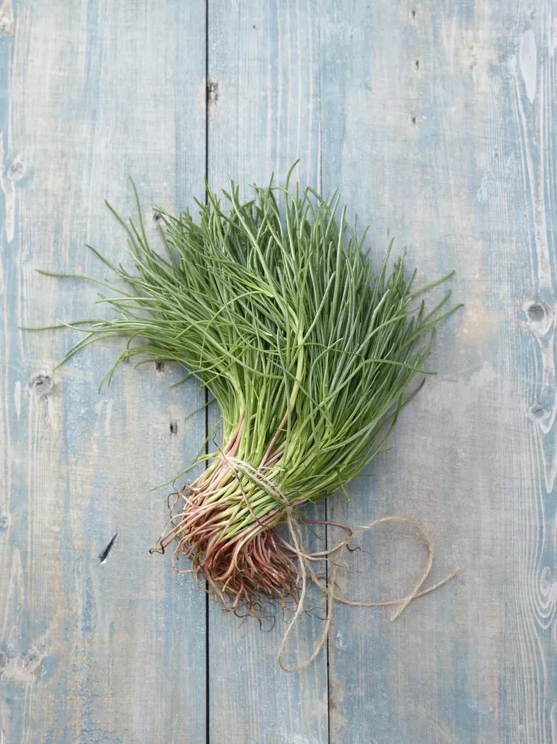 Francesco Farabegoli tweet media