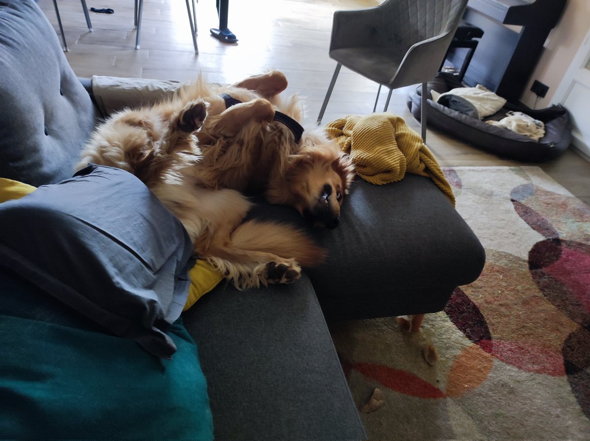dictionaryl4's tweet photo. have a 🧵of pics I took from my boys this weekend because I miss them https://t.co/0cXxY1yCuZ