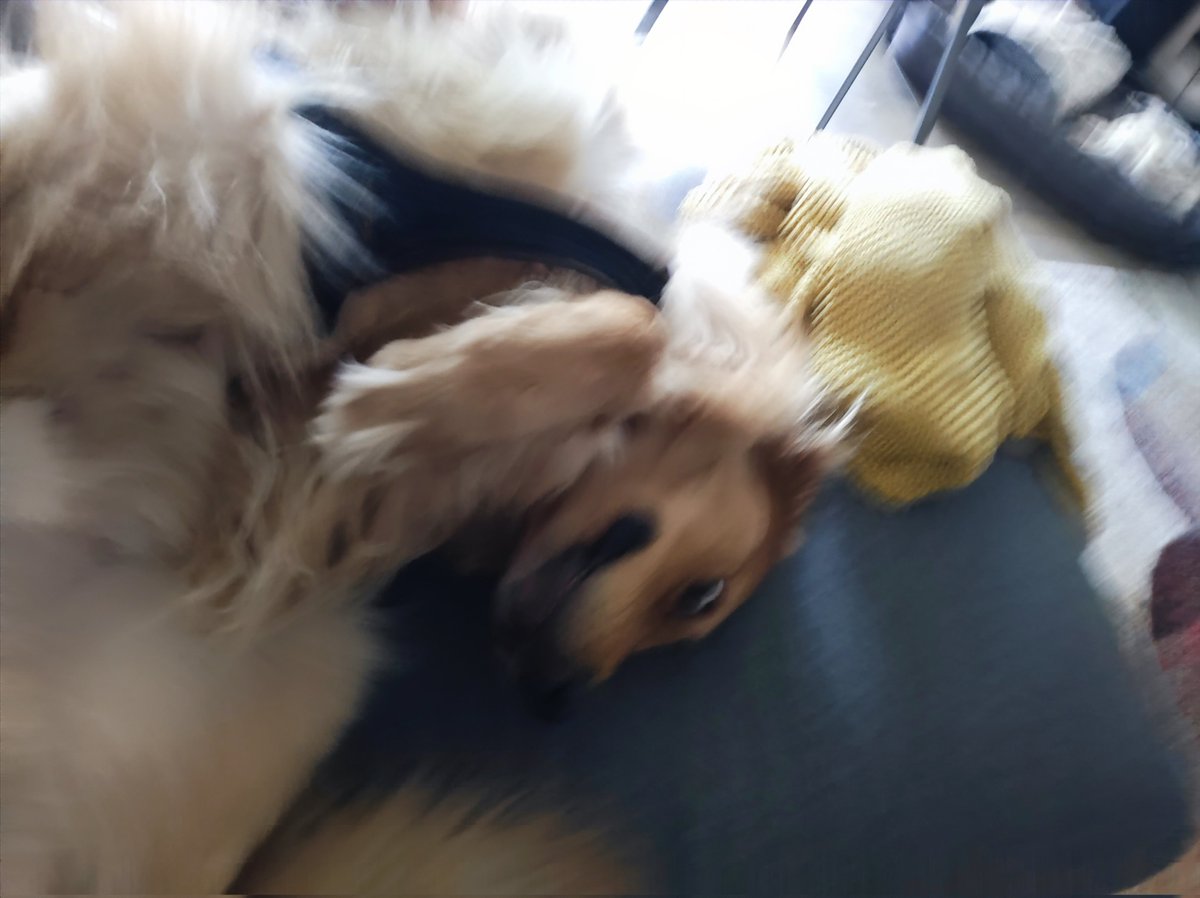 dictionaryl4's tweet photo. have a 🧵of pics I took from my boys this weekend because I miss them https://t.co/0cXxY1yCuZ