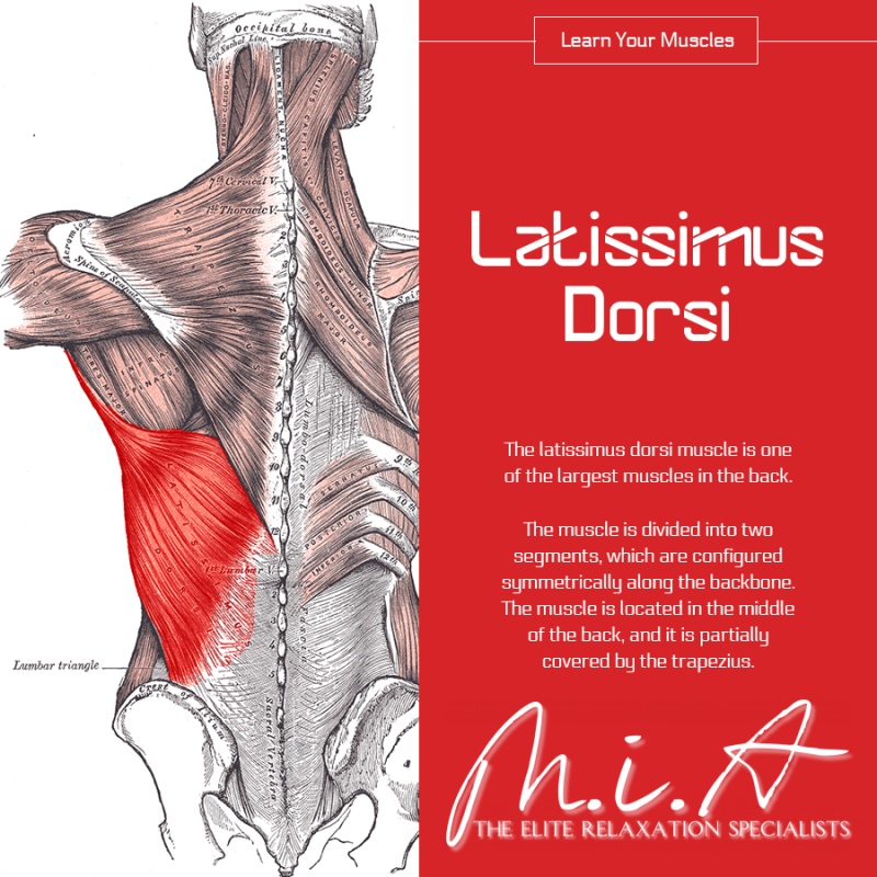 JustGoMIA's tweet image. Book Online Here👉 t.ly/pakC