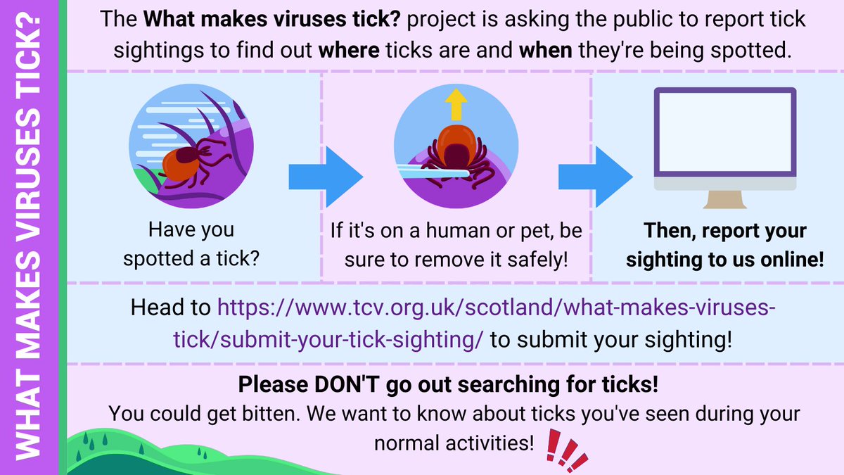VirusesTickCVR's tweet photo. You can head to https://t.co/MvqZwbWZoJ to report any information you have!

Make sure to keep yourself #TickSafe when out in the countryside, and don't go out specifically to look for ticks! https://t.co/CQ3EUq7T9v