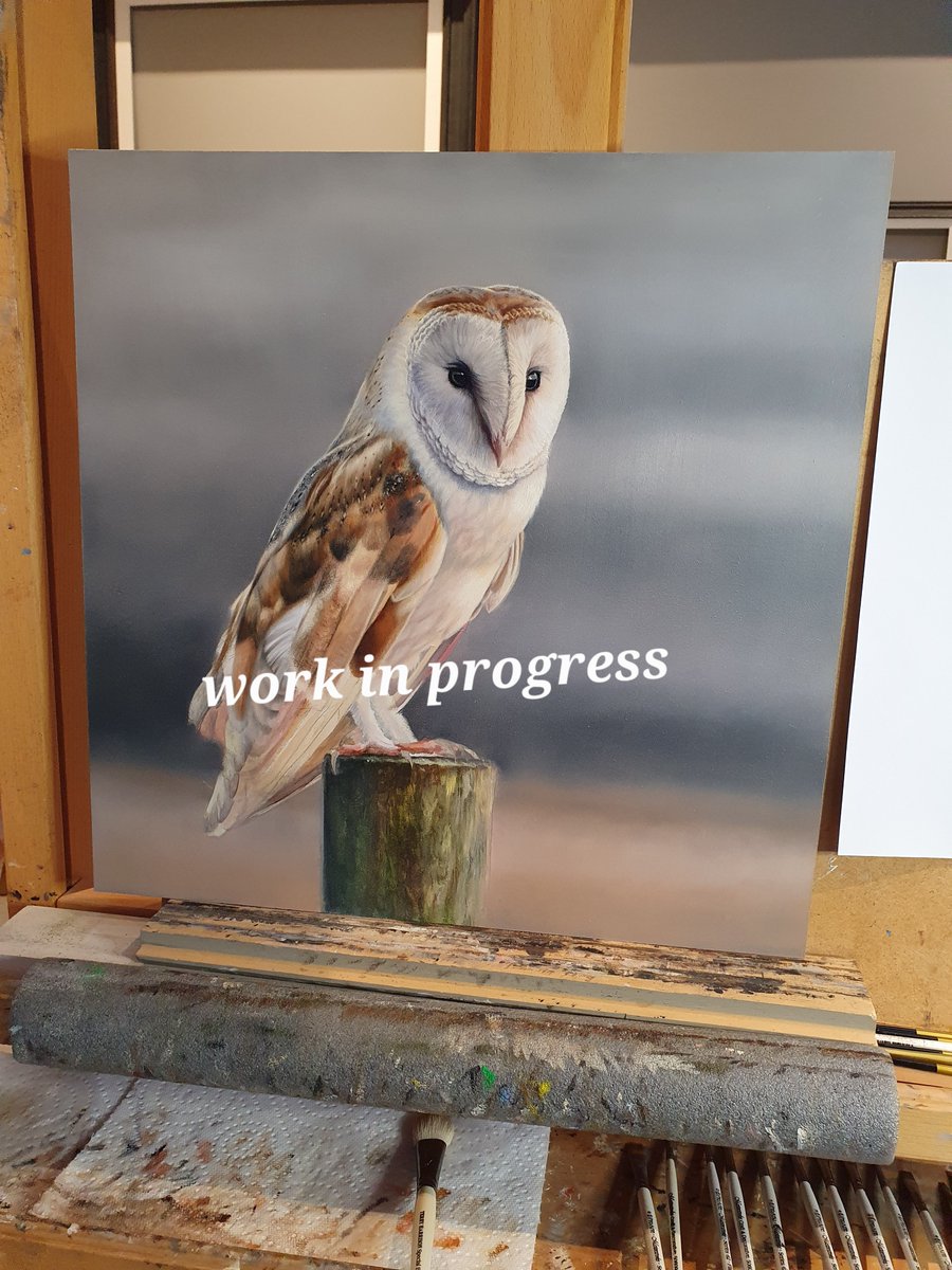 A little more progress on my owl 😊

#owl #owls #owlpainting #barnowl #barnowlsofinstagram #owlsofinstagram #owllover #animalartist #animalart #wildlife #birdlife #owldrawing #britishwildlife #birds #birdsofinstagram #birdsofprey #artistofinstagram #artistoninstagram #ukbirds