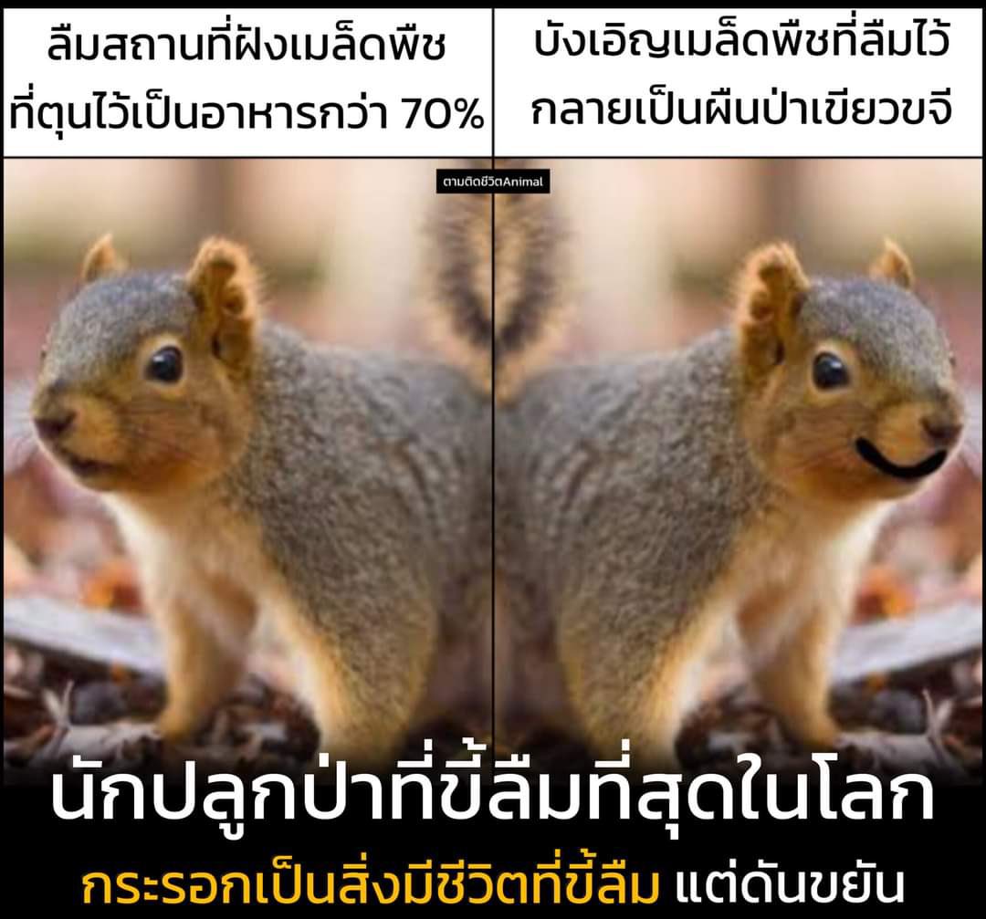 vary ✦⋆ tweet media