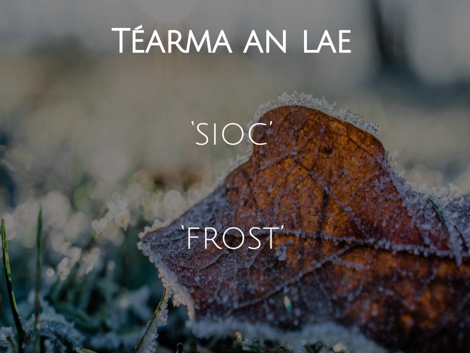 tearma_ie's tweet photo. Téarma an lae ó https://t.co/Q88WoULI8o #sioc #frost #téarmaanlae #termoftheday #téarmaíocht #terminology #téarma #term #teanga #language #gaeilge #irish https://t.co/sqFjoAd8PQ