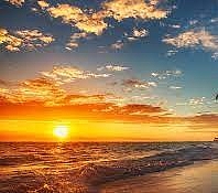 Fran Briggs tweet media