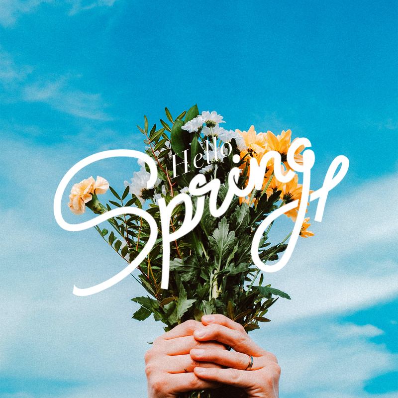 6Nidah's tweet photo. Hello Spring!
https://t.co/jtz5N7IEMi https://t.co/e6MfSsiTr3