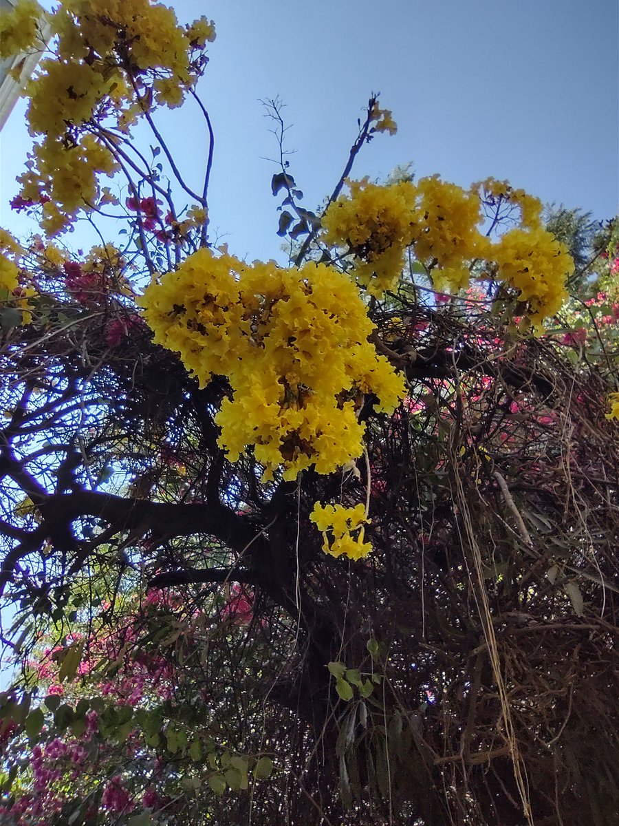 Vinayak Hegde tweet media