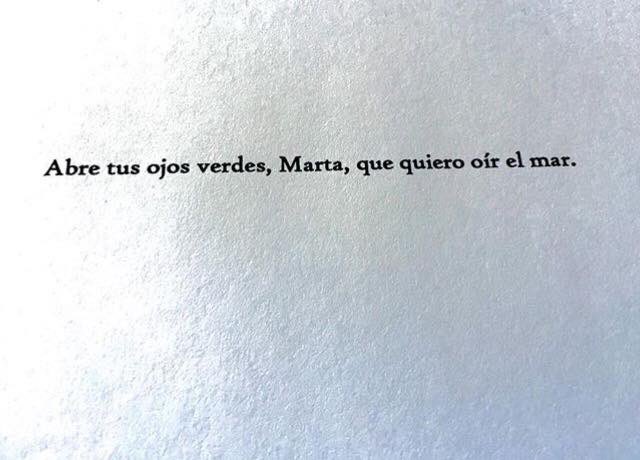 elvira sastre sanz tweet media