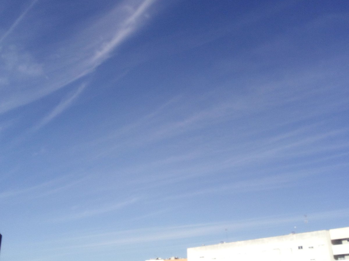 devitocarmine's tweet image. I maiali dell'aria.

Questi decidono clima e aria che respiri, se farti vedere il☀️oppure no.
A questo punto è normale pensare che queste sostanze irrorate possano contenere qualsiasi cosa.

I governi europei tutti complici, magistratura compresa

Altro che istituire #zonarossa