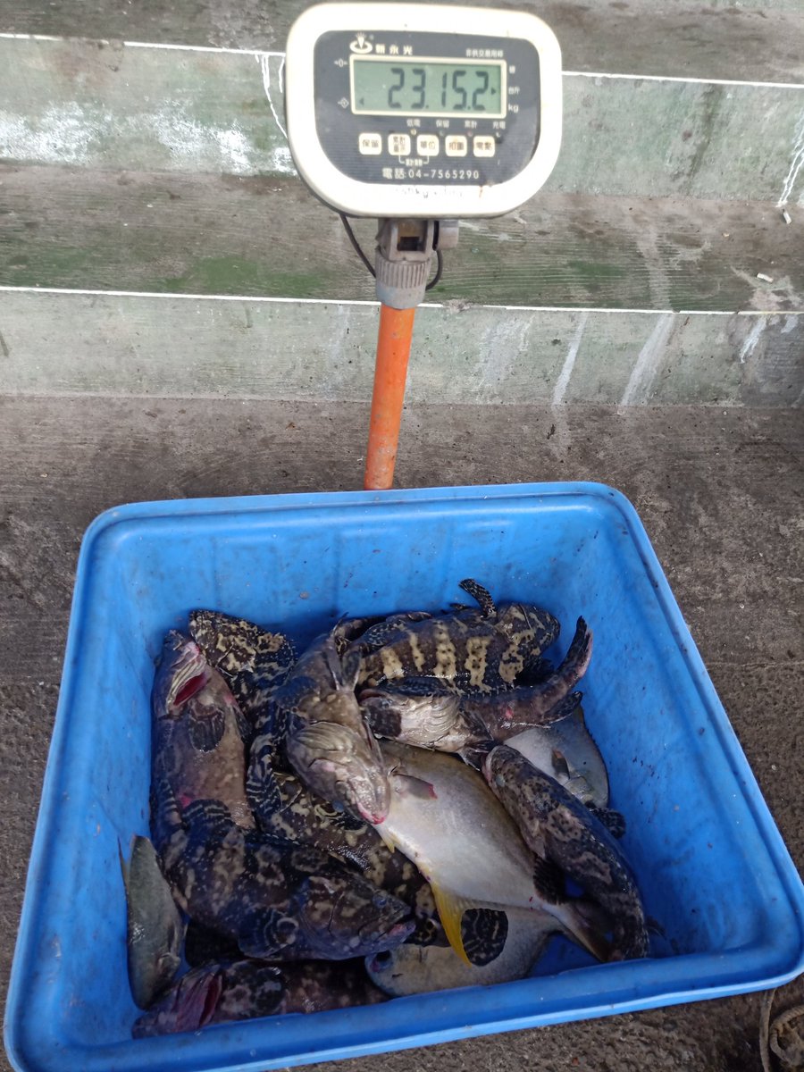 第一次去到新地方釣魚
然後釣完馬上被店家畢業🙄😂😂
#伸港 #瑞生海釣場
#石斑不孤單
#先生帶小姐出門遊日記 https://t.co/ayiRUMbCuf
