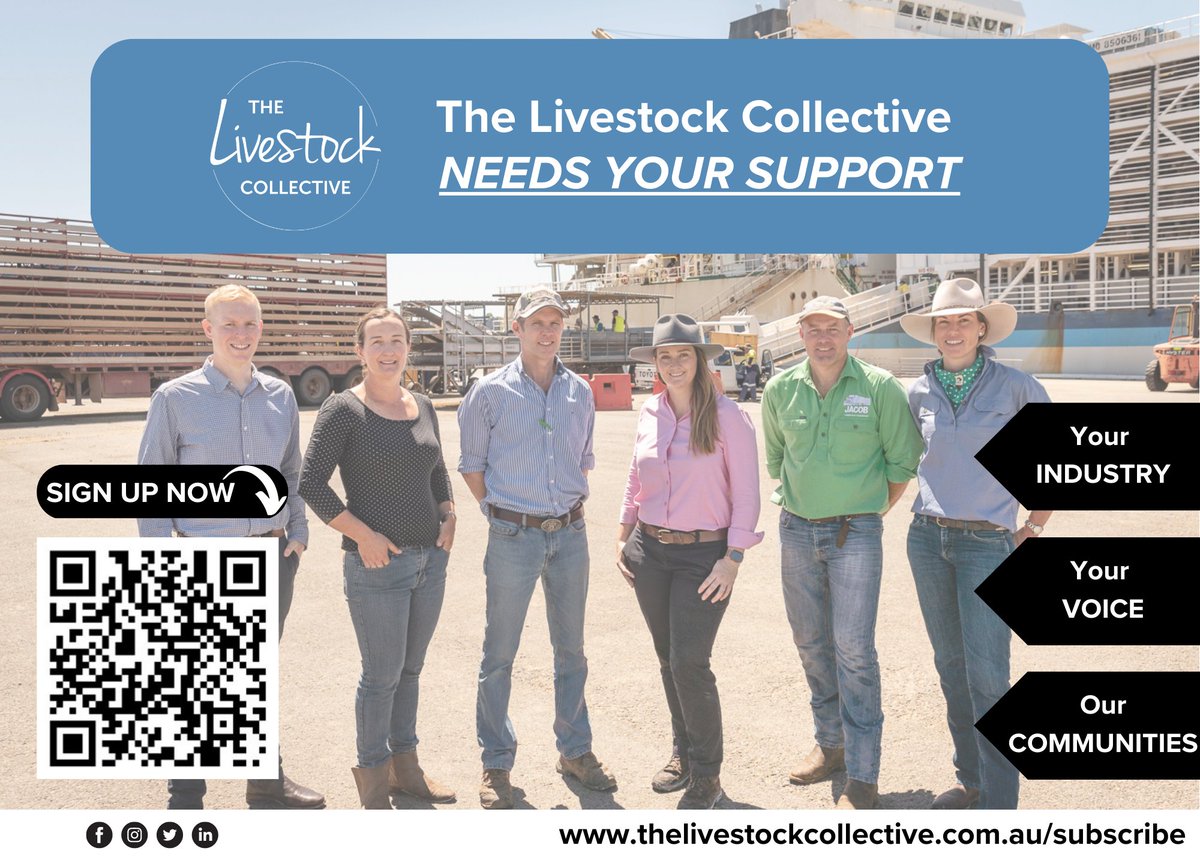 If an entire industry (live sheep trade) can be phased out without scientific evidence to support the policy, it becomes an attack on the livelihoods and future of everyone involved in Australian agriculture. There is work to do and we need your support - thelivestockcollective.com.au/subscribe