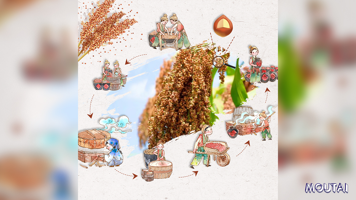 MoutaiGlobal's tweet photo. Thick-skinned and resistant to steaming, those excellent qualities of the Hongyingzi glutinous sorghum from the Chishui River Valley make it withstand a complete cycle of the distilling process. That is the reason why it can be one of the main raw materials of #Moutai. #MoreArts https://t.co/S5yq2RYxGV