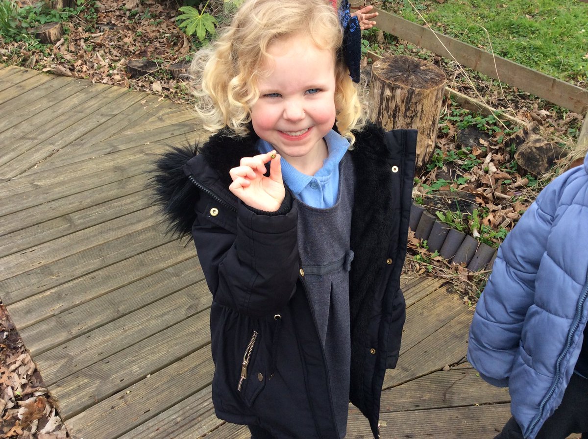 StJosephU's tweet photo. F2 used new vocabulary yesterday while discovering our new #SJUEnglish text ‘Bloom’. We were learning the correct names for the parts of a plant. #SJUScience #SJUEYFS #UnderstandingtheWorld https://t.co/0T8Iip7K08