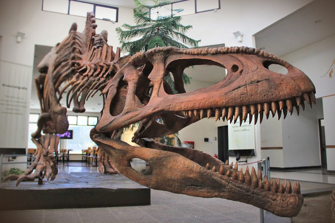 Dinosaurs of Patagonia, explore secret Brisbane, win Abbey Medieval Festival experiences + more - mailchi.mp/brisbanekids/d…