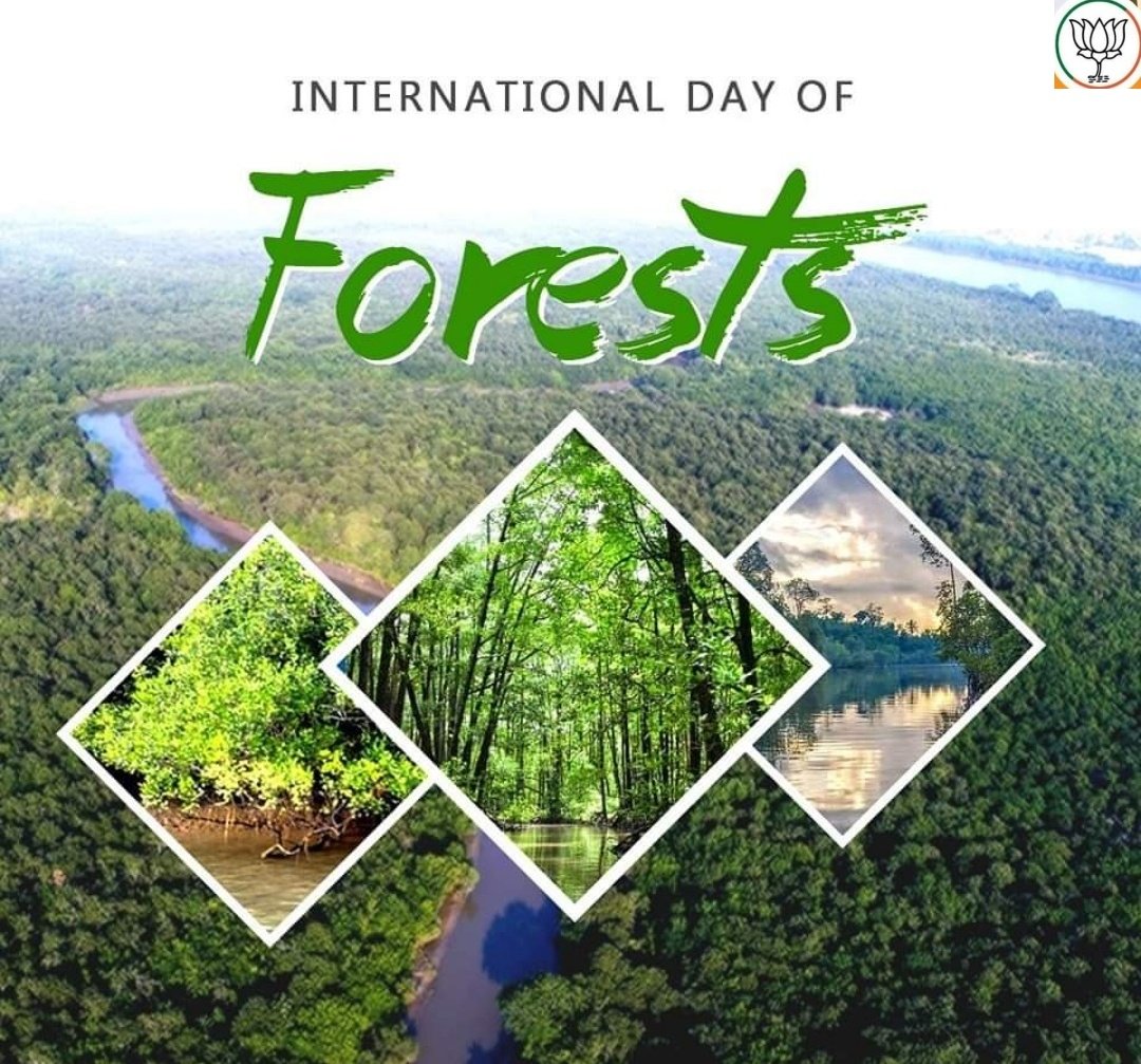 Forests play invaluable role in preserving mother Earth’s biodiversity and combating climate change. On #InternationalDayOfForests, let's reaffirm pledge to plant more and more trees and preserve our forests for a greener and sustainable future for mankind.
#SabujaOdisha