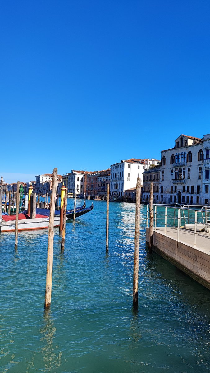 Good morning Spring, nice to see you again in #Venice! / Buongiorno Primavera, piacere di rivederti a #Venezia! 

#eredijovon #italy #veniceitaly #grancanal #canalgrande