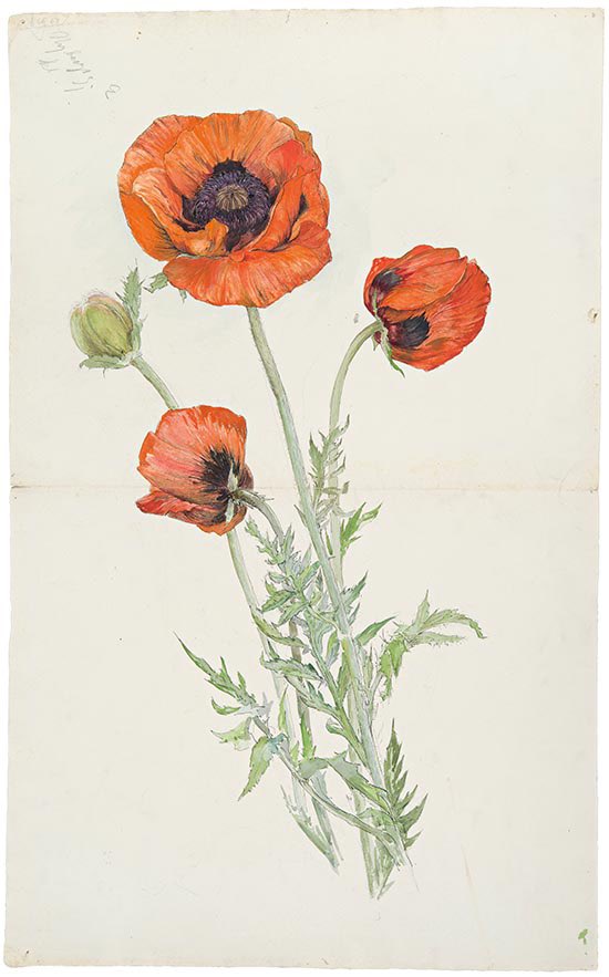 Hilma af Klint también encapsuló la primavera. ❣️