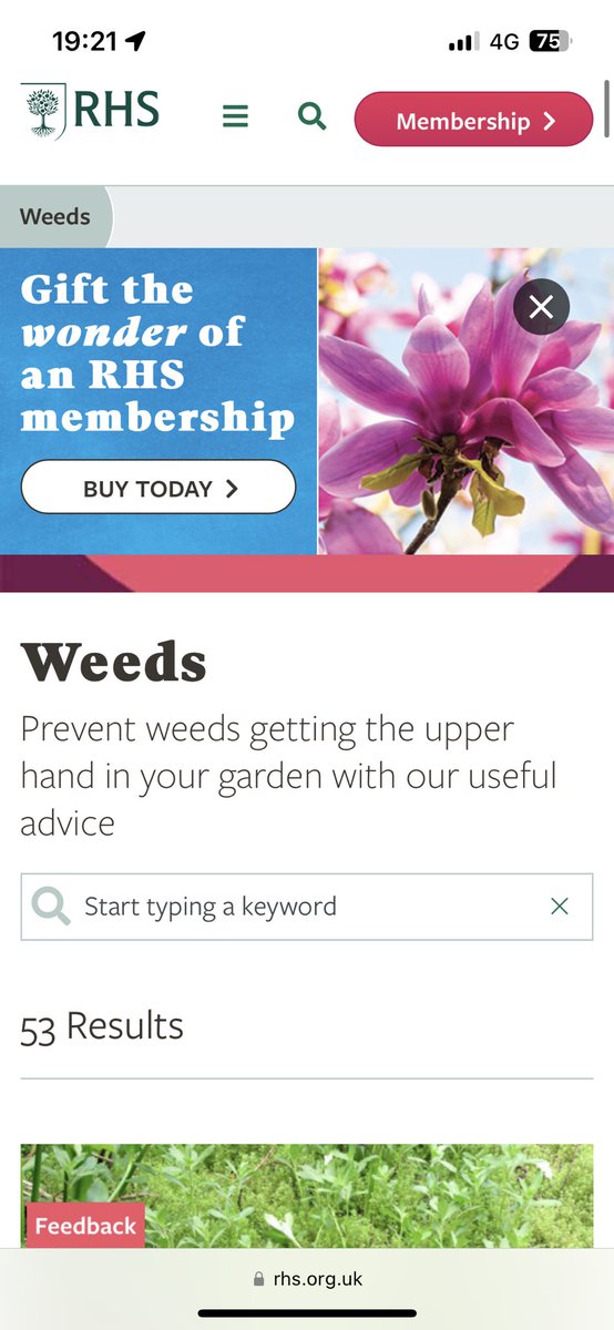 Joel Ashton 🍃🌳🍃 tweet media