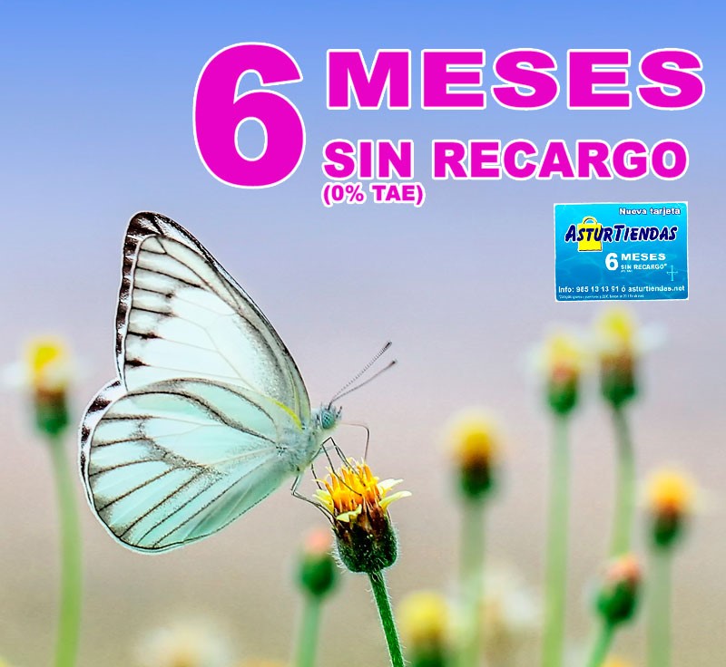 AsturTiendas's tweet photo. Solicita tu nueva tarjeta AsturTiendas, y disfruta del pago en 6 meses sin recargo. #primavera #primavera 2023 #comerciodeproximidad #asturias #6mesessinrecargo #asturtiendas #comerciodeasturias #oviedo #gijon #aviles #mieres #arriondas #langreo #poladelaviana #candas https://t.co/0GBFppstgt
