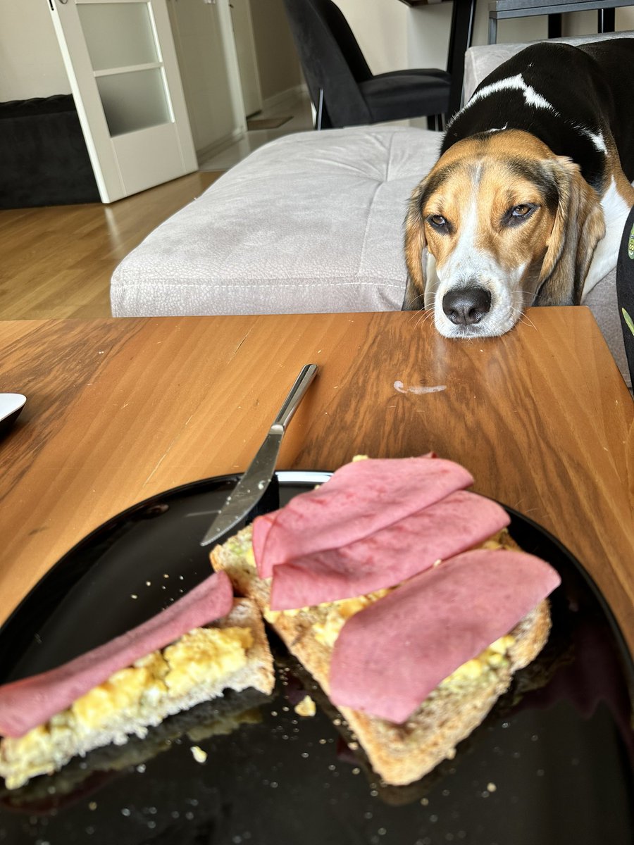 Avakado seven bir bey.