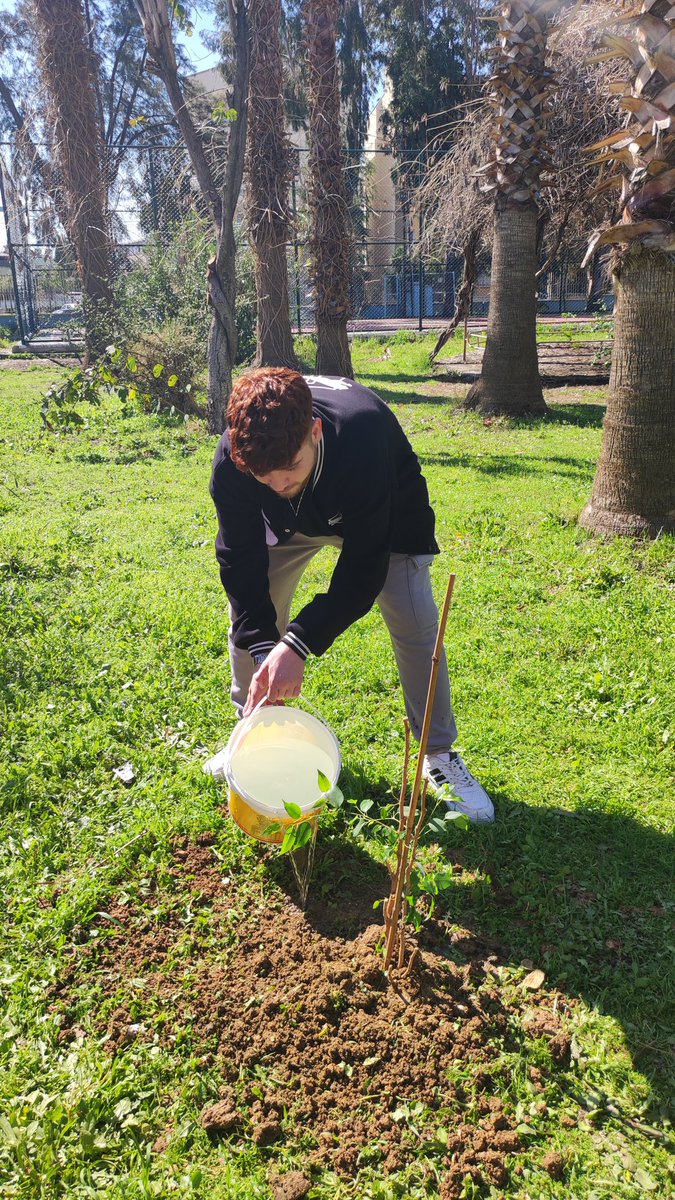 mersinmesem's tweet photo. 21 Mart Dünya Ormancılık Günü ve Ağaç Bayramı kutlamaları kapsamında merkezimizin bahçesine fidanlarımızı dikip can sularını verdik🌳🌳
@MersinMEM @aliihsansu_ @akgulsuleyman @AdemKoca46 @AdemSimsek33 @YilmazGUNDOGAN @KadirKERMOGLU https://t.co/aXtJ8I2Sqo
