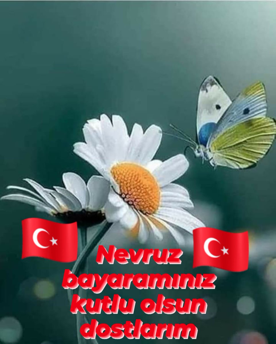 Mutlu günler dilerim can dostlarım her şey gönlünüzce olsun inşallah her şey çok güzel olacak.