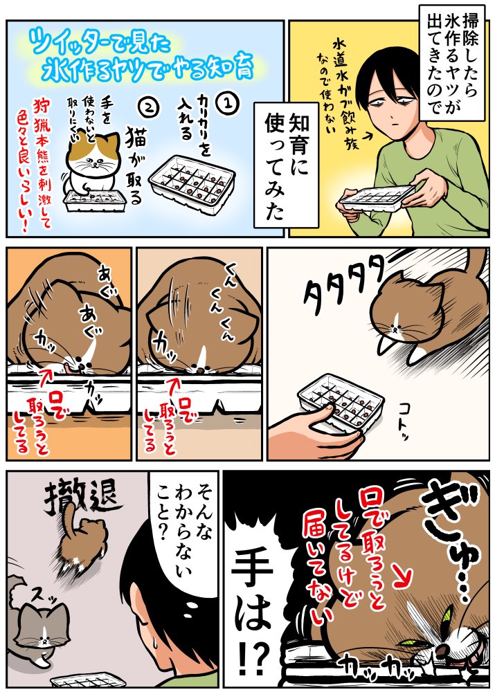 猫もパクる 