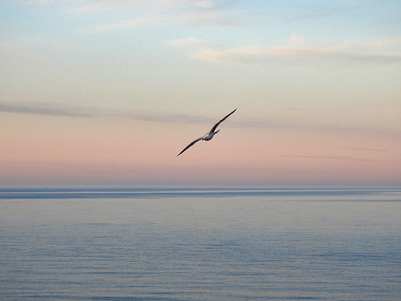 FeelBetter2day's tweet photo. Wish I had the original of this from 2021, I'd love it on my wall #Scarborough https://t.co/AMCkDYPfBE