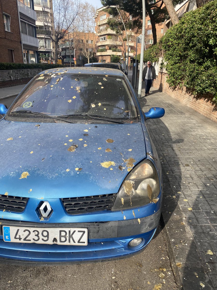 Barnacris's tweet photo. @bcn_ajuntament @govern @AdaColau así amanecemos cada día en barcelona. No hay derecho. Carrer Valero amb vallmajor. Y así todos los coches, motos y aceras públicas. @Bcn_SSTG https://t.co/063MMsd6w9