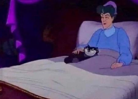 No voy a poder ir, tengo planes
El plan: