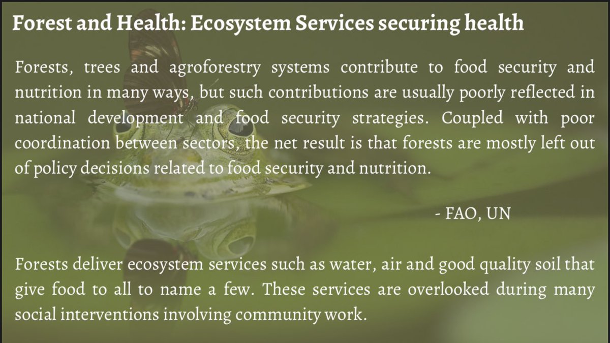 VanamEcologics's tweet photo. #internationalforestday #forestday #ecosystemservices #ecosystems #internationalforestday2023 #worldforestday https://t.co/9jBdK5CsMz