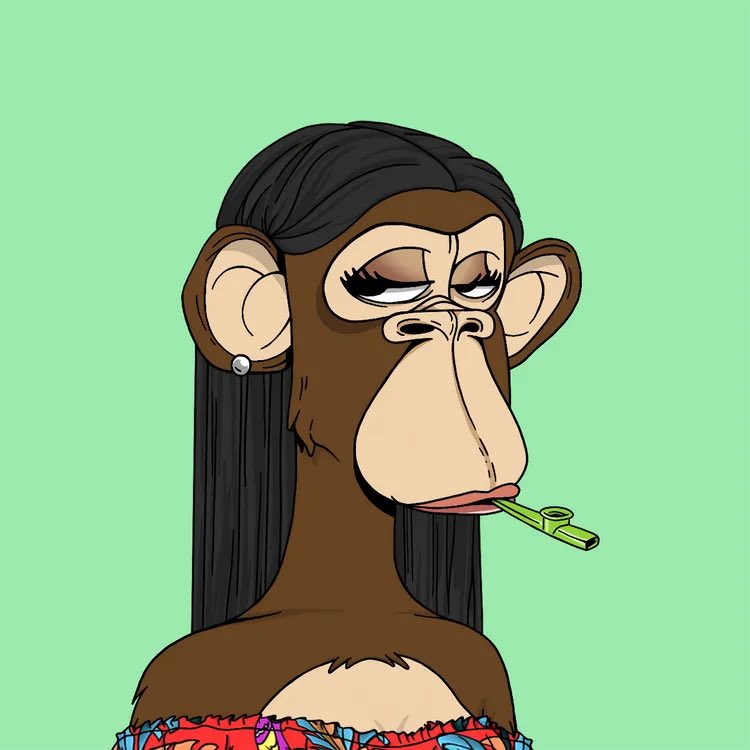 The Boredettes 🎀 tweet media