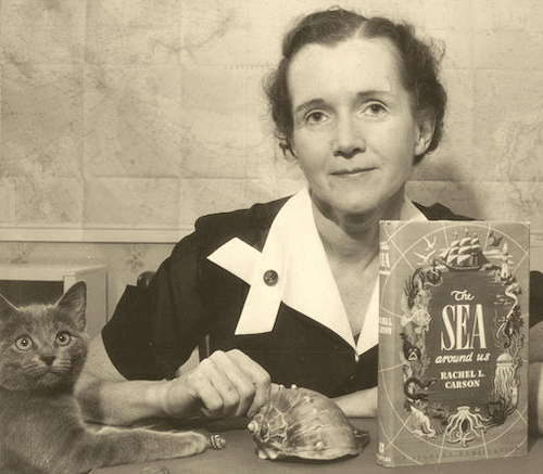 Çevresel Hareketi Başlatan Baharın Sesi: Rachel Carson

10layn.com/rachel-carson/

#10layn #rachelcarson #biyografi #cevre